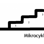 cvicko_mikrocykly