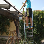 IMG_20190726_155246